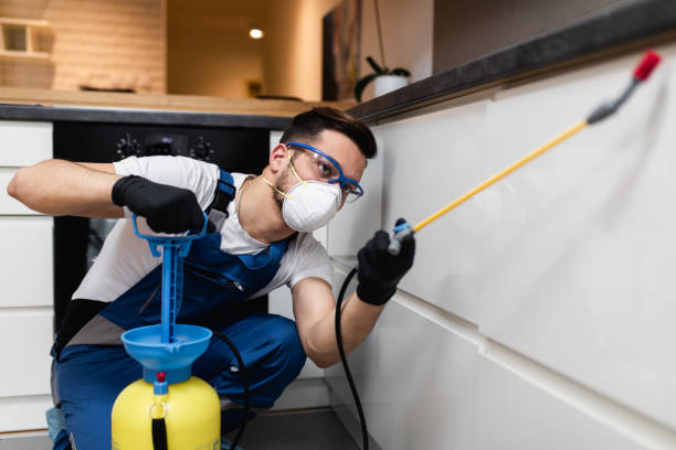 Pest Prevention Services in Dunbar, WV