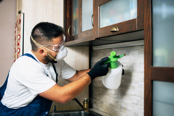 Best Pest Removal Services  in Dunbar, WV