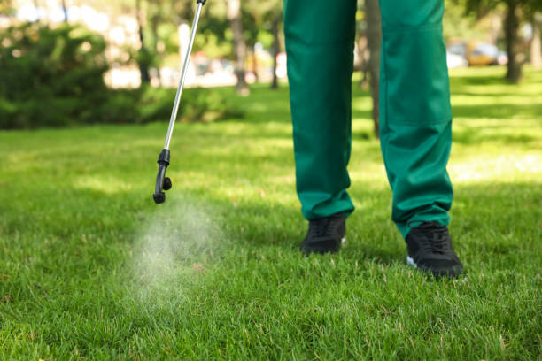 Best Affordable Exterminators  in Dunbar, WV