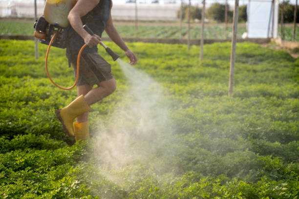 Best Pest Removal Services  in Dunbar, WV