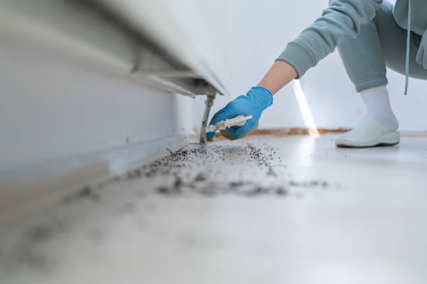 Best Pest Prevention Services  in Dunbar, WV